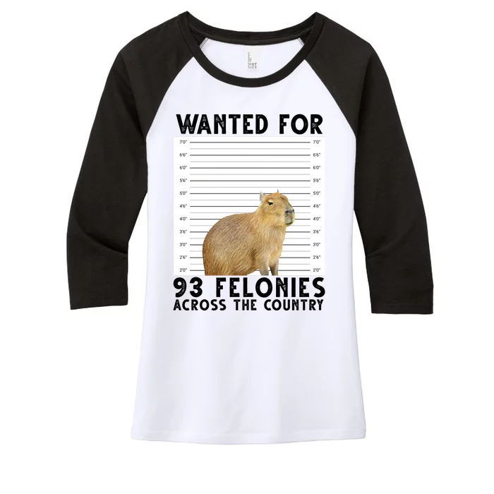 Capybara Mugshot Wanted For 93 Felonies Across The Country Women's Tri-Blend 3/4-Sleeve Raglan Shirt