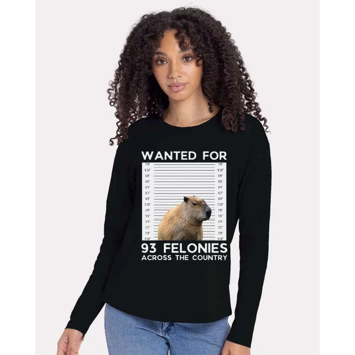 Capybara Mugshot Wanted For 93 Felonies Across The Country Womens Cotton Relaxed Long Sleeve T-Shirt