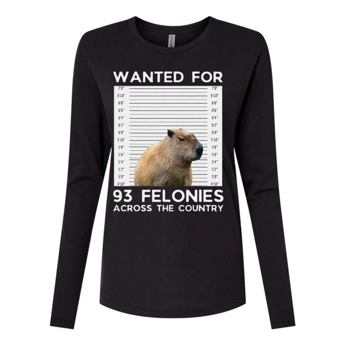 Capybara Mugshot Wanted For 93 Felonies Across The Country Womens Cotton Relaxed Long Sleeve T-Shirt