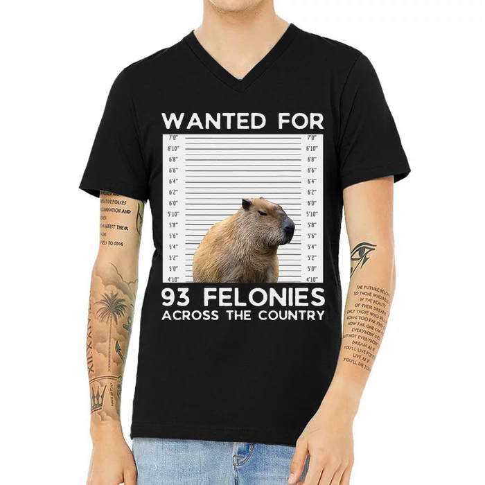 Capybara Mugshot Wanted For 93 Felonies Across The Country V-Neck T-Shirt