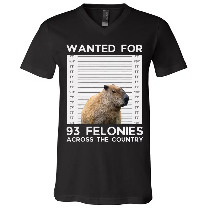 Capybara Mugshot Wanted For 93 Felonies Across The Country V-Neck T-Shirt