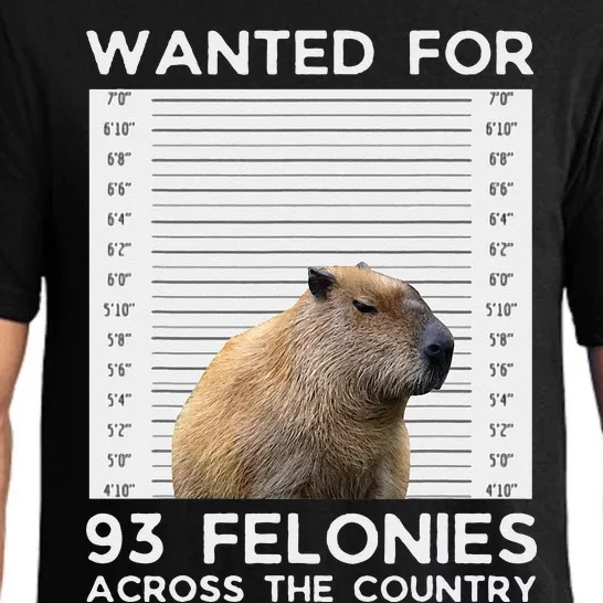 Capybara Mugshot Wanted For 93 Felonies Across The Country Pajama Set