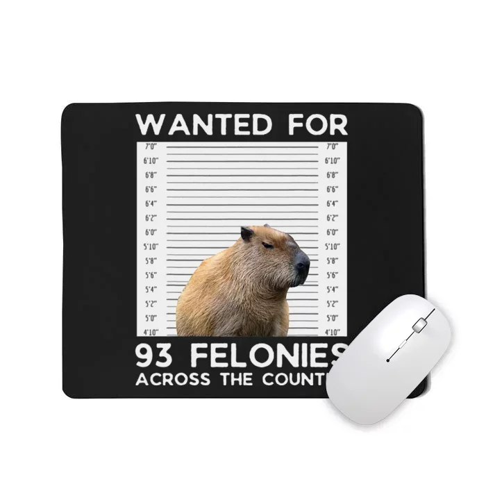 Capybara Mugshot Wanted For 93 Felonies Across The Country Mousepad