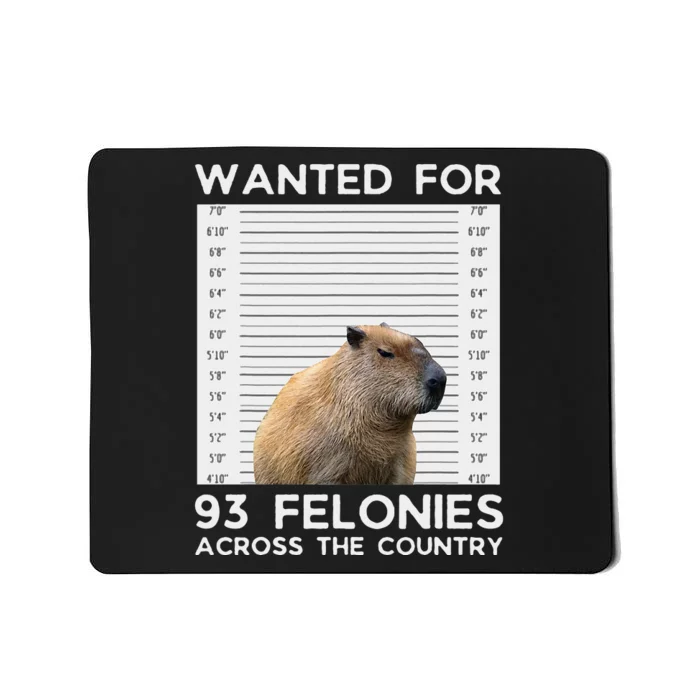 Capybara Mugshot Wanted For 93 Felonies Across The Country Mousepad