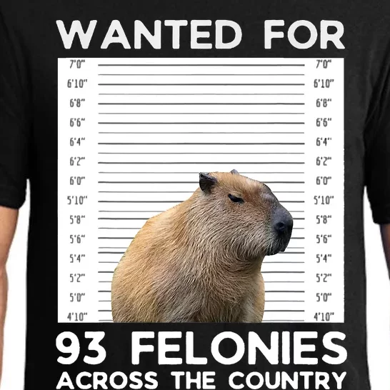 Capybara Mugshot Wanted For 93 Felonies Across The Country Pajama Set