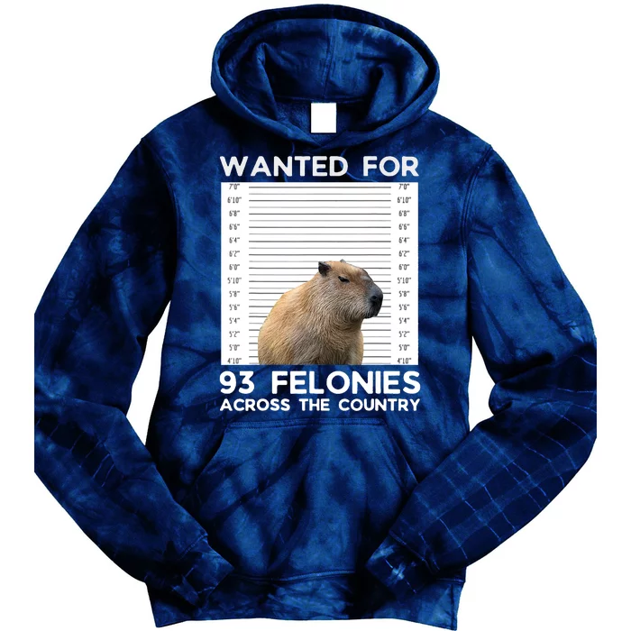 Capybara Mugshot Wanted For 93 Felonies Across The Country Tie Dye Hoodie