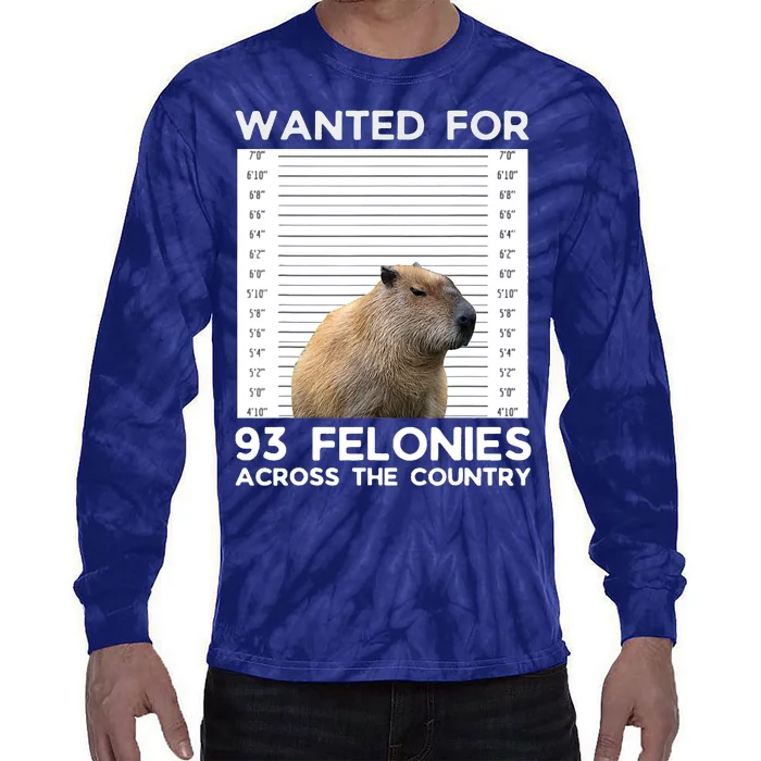 Capybara Mugshot Wanted For 93 Felonies Across The Country Tie-Dye Long Sleeve Shirt