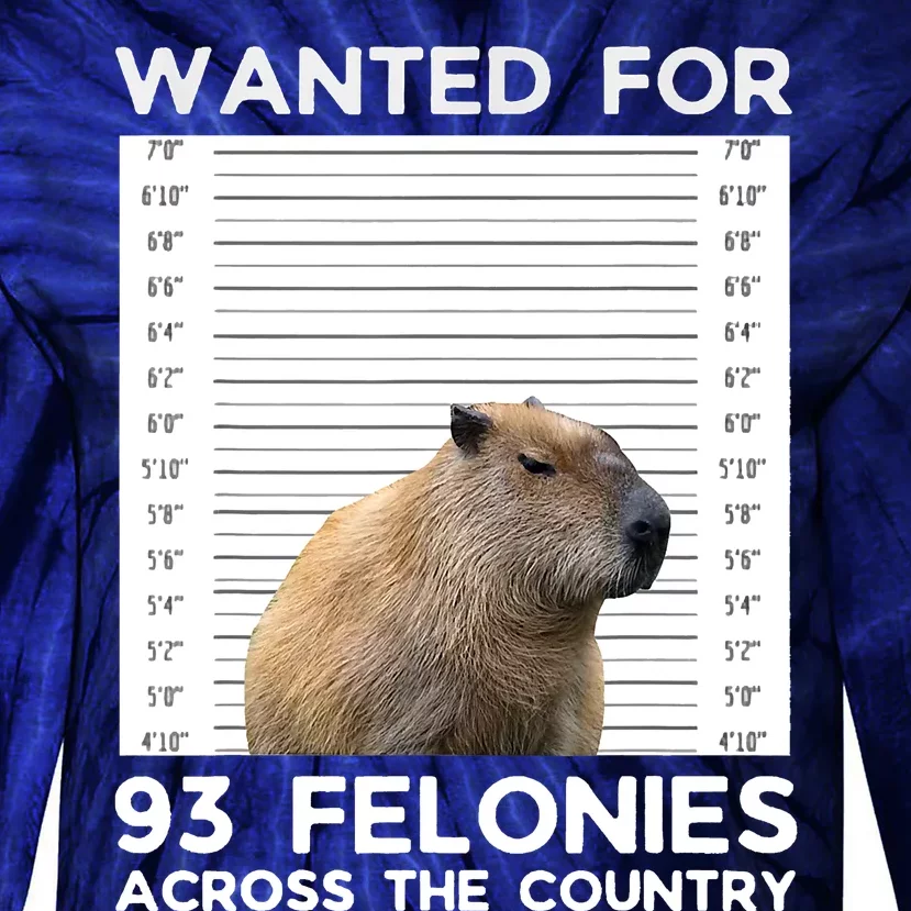 Capybara Mugshot Wanted For 93 Felonies Across The Country Tie-Dye Long Sleeve Shirt