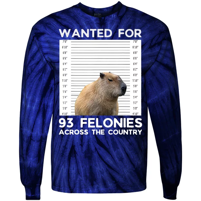 Capybara Mugshot Wanted For 93 Felonies Across The Country Tie-Dye Long Sleeve Shirt