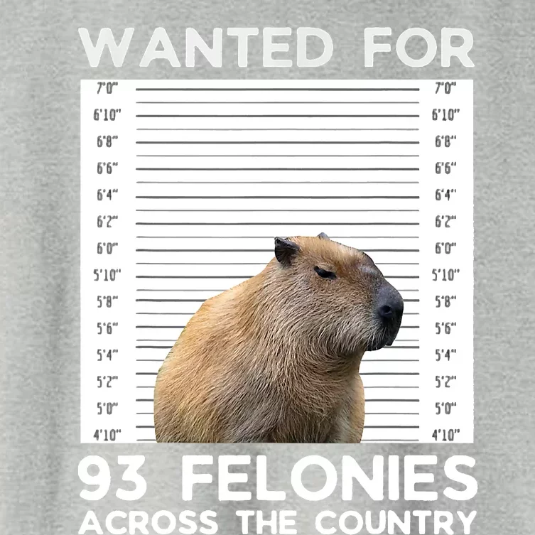 Capybara Mugshot Wanted For 93 Felonies Across The Country Women's Crop Top Tee