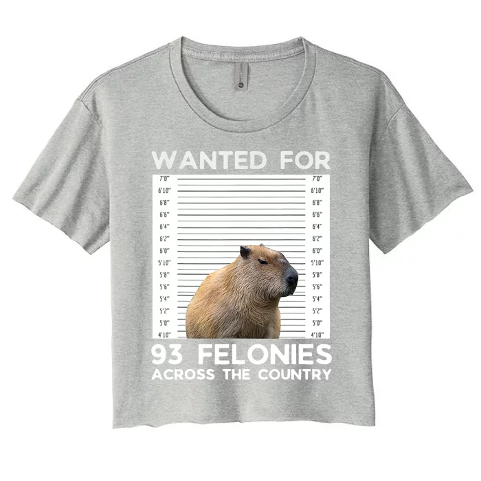 Capybara Mugshot Wanted For 93 Felonies Across The Country Women's Crop Top Tee