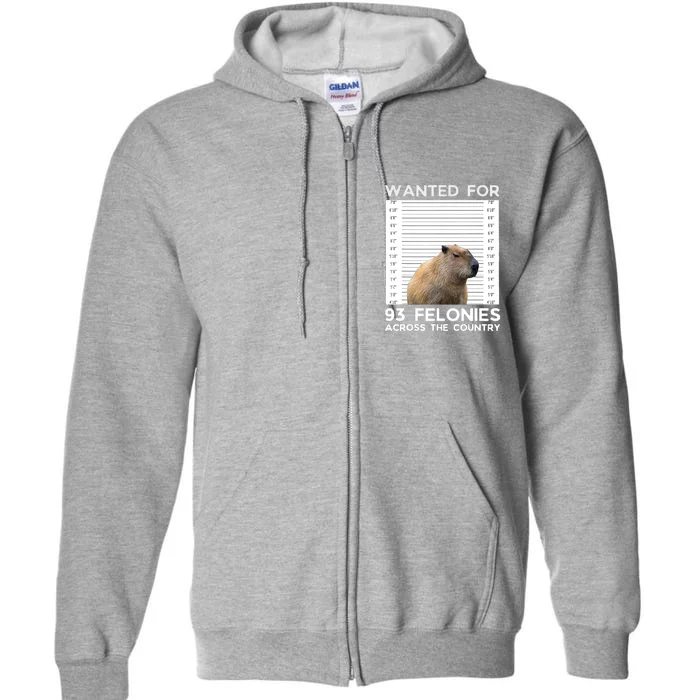 Capybara Mugshot Wanted For 93 Felonies Across The Country Full Zip Hoodie