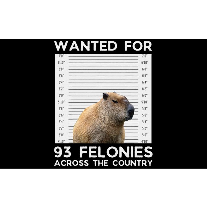 Capybara Mugshot Wanted For 93 Felonies Across The Country Bumper Sticker