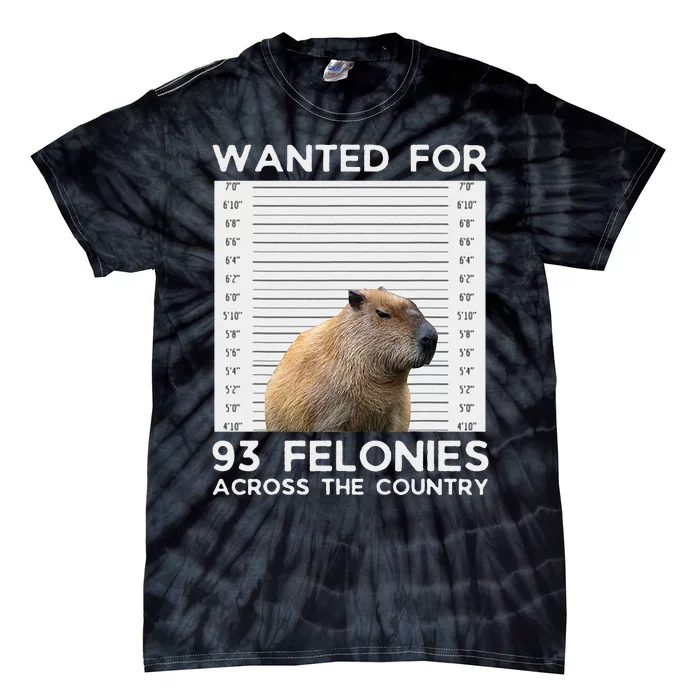 Capybara Mugshot Wanted For 93 Felonies Across The Country Tie-Dye T-Shirt