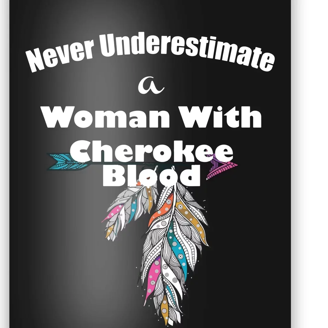 Cherokee Native American Poster