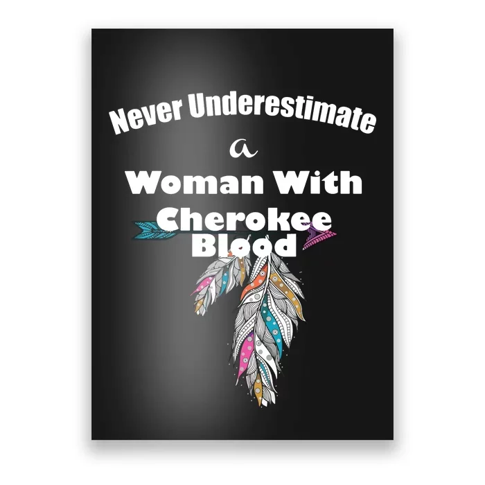 Cherokee Native American Poster