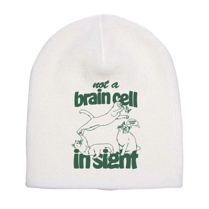 Cat Not A Brain Cell In Sight Short Acrylic Beanie