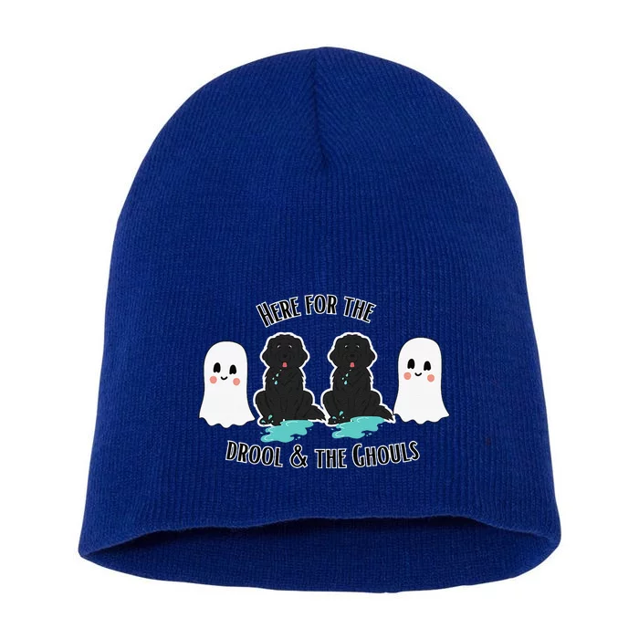 Cute Newfie Dog Halloween Ghosts Here For The Drool & Ghouls Short Acrylic Beanie