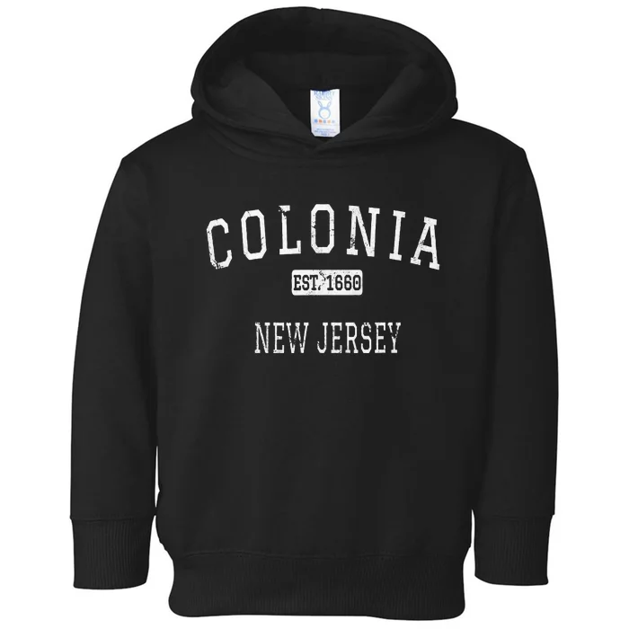 Colonia New Jersey Nj Vintage Toddler Hoodie