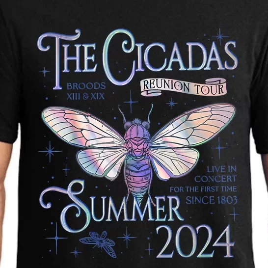 Cicada Nature Lover The Cicadas Reunion Summer 2024 Pajama Set