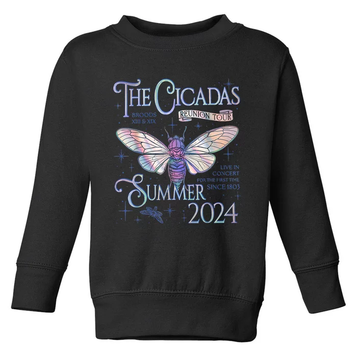 Cicada Nature Lover The Cicadas Reunion Summer 2024 Toddler Sweatshirt