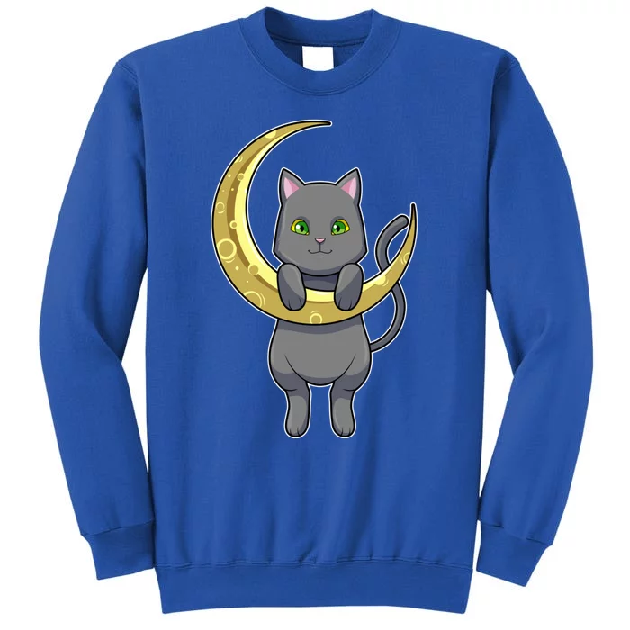 Cat Night Moon Gift Tall Sweatshirt