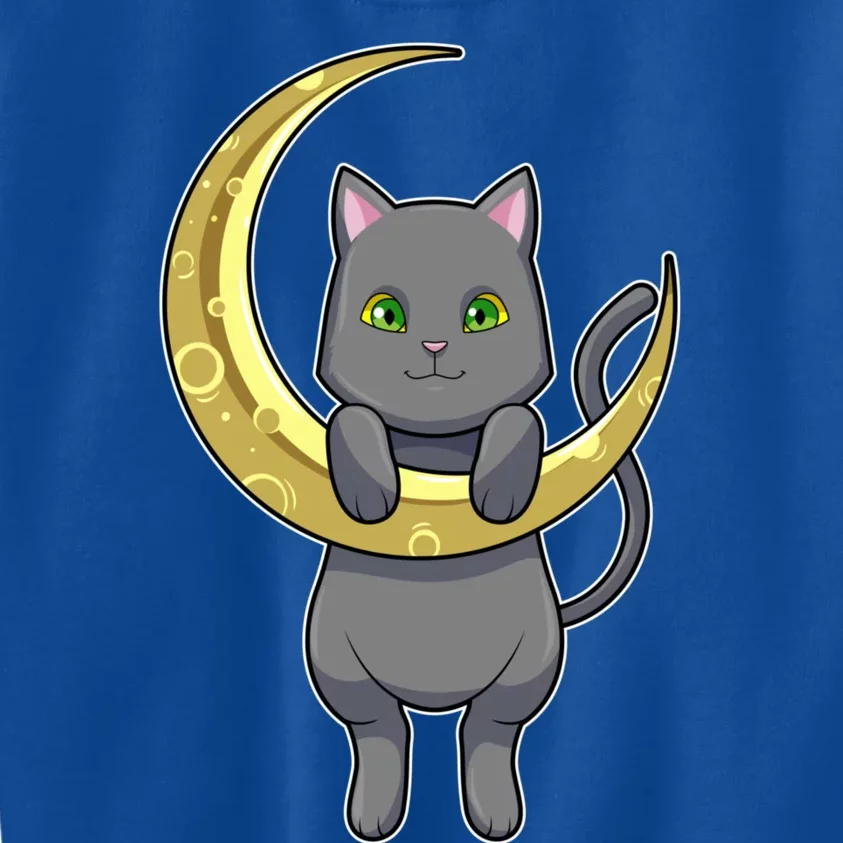 Cat Night Moon Gift Kids Sweatshirt