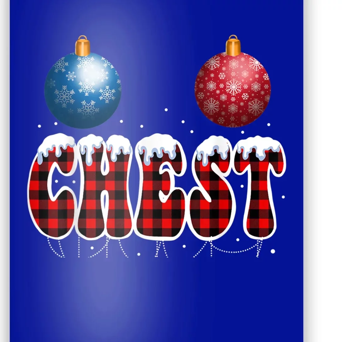 Chest Nuts Matching Chestnuts Funny Christmas Couples Nuts Cool Gift Poster