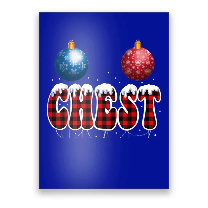 Chest Nuts Matching Chestnuts Funny Christmas Couples Nuts Cool Gift Poster