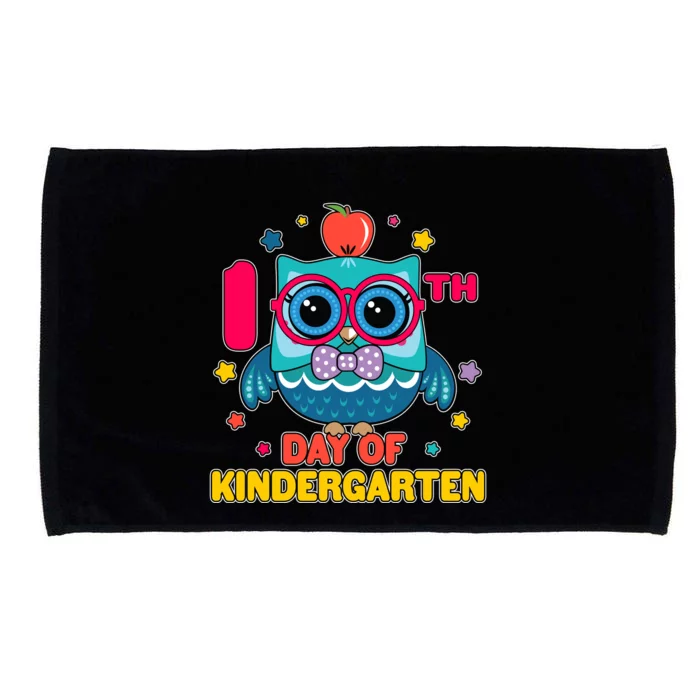 Cute Owl 100th Day Of Kindergarten Microfiber Hand Towel