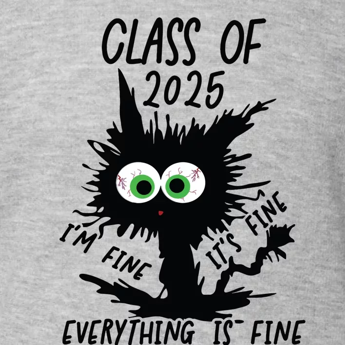 Class Of 2025 Toddler Sweatshirt