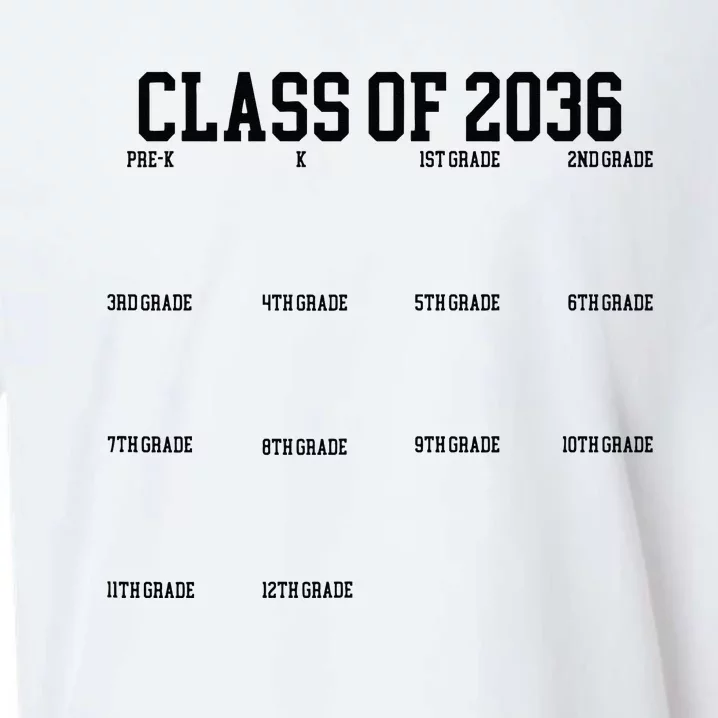 Class Of 2036 Grow With Me Handprint Graduation Sueded Cloud Jersey T-Shirt