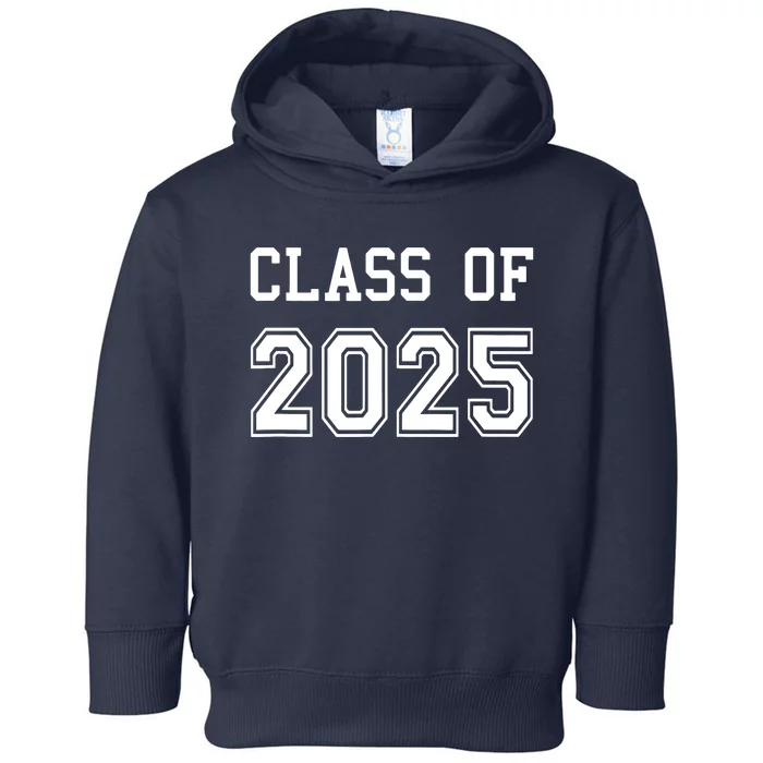 Class Of 2025 Graduation School Future Graduate Toddler Hoodie