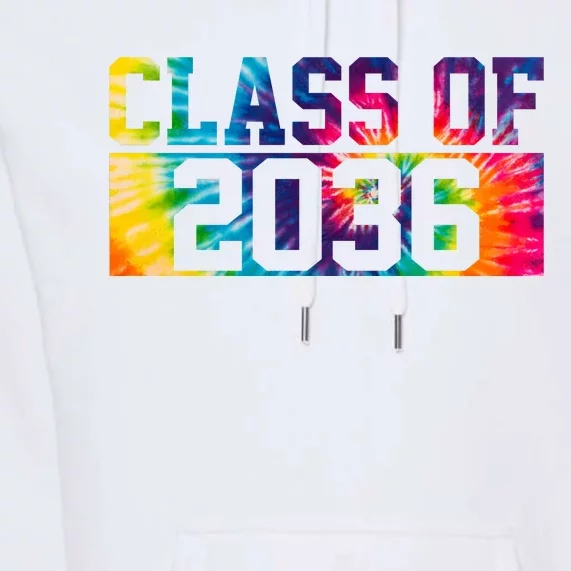 Class Of 2036 Graduation First Day Tie Dye Premium Hoodie