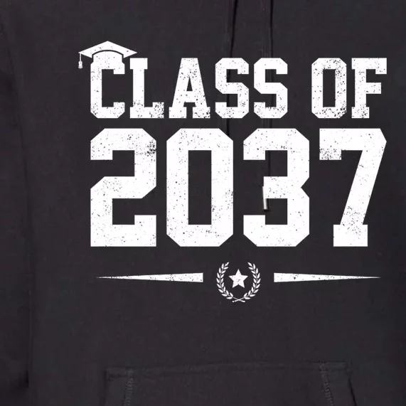 Class Of 2037 Grow With Me Premium Hoodie