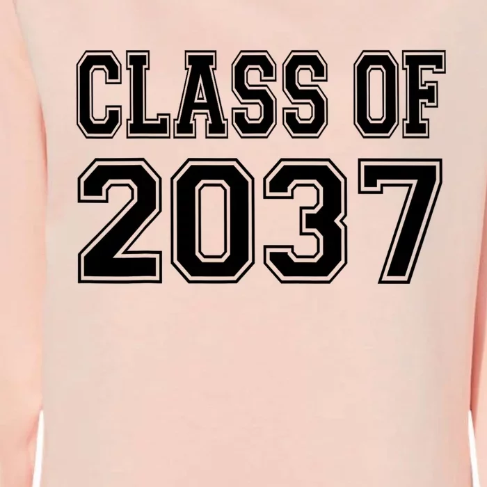 Class Of 2037 Grow With Me Womens California Wash Sweatshirt