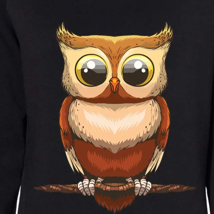 Cute Owl Art For Men Women Boy Girl Owl Lovers Womens California Wash Sweatshirt