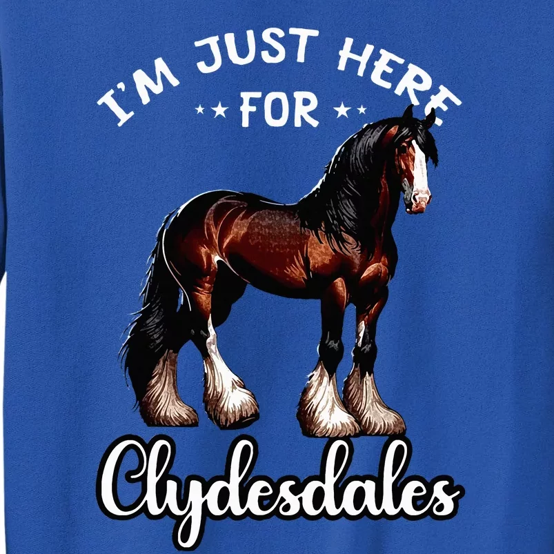 Clydesdale Owner Clydesdale Horse Toy Clydesdale Lover Tall Sweatshirt