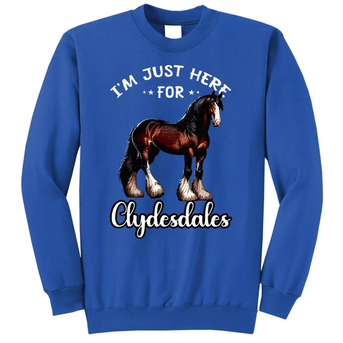 Clydesdale Owner Clydesdale Horse Toy Clydesdale Lover Tall Sweatshirt