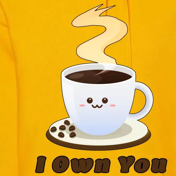 Coffee I Own You Premium Hoodie