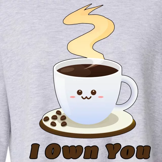 Coffee I Own You Cropped Pullover Crew