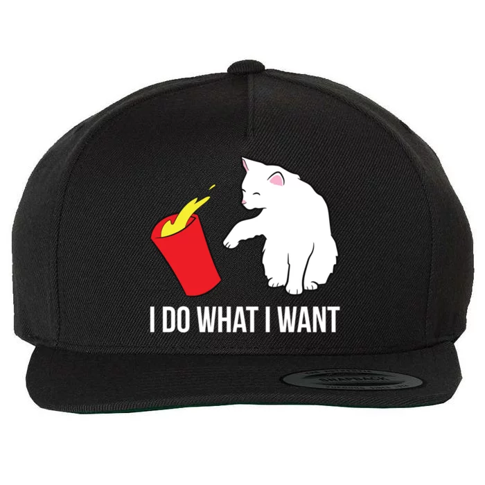 Cat Owner Gift Love Cats I Do What I Want Funny Cat Gift Wool Snapback Cap