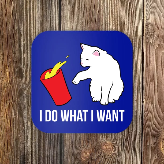 Cat Owner Gift Love Cats I Do What I Want Funny Cat Gift Coaster