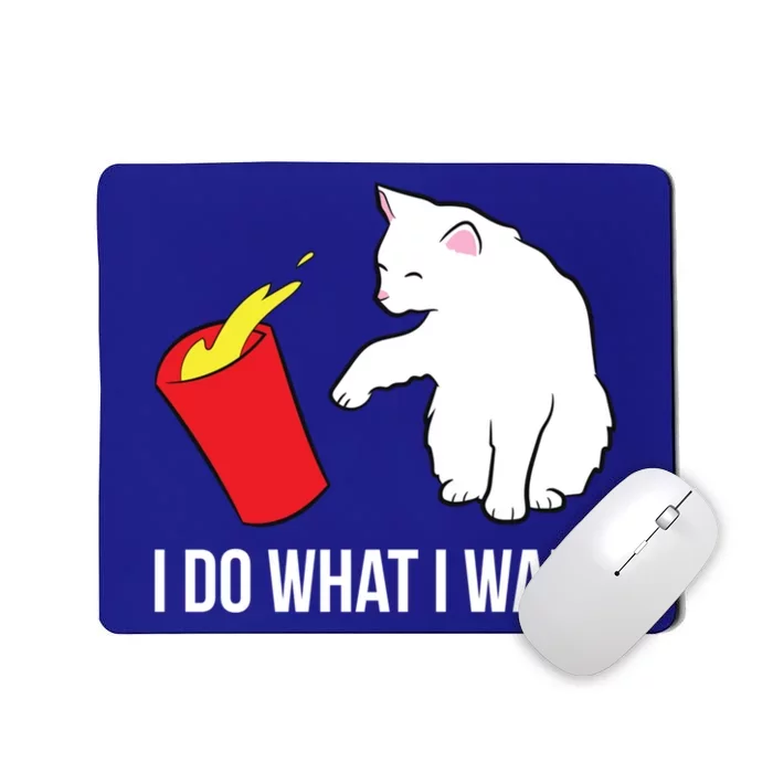 Cat Owner Gift Love Cats I Do What I Want Funny Cat Gift Mousepad