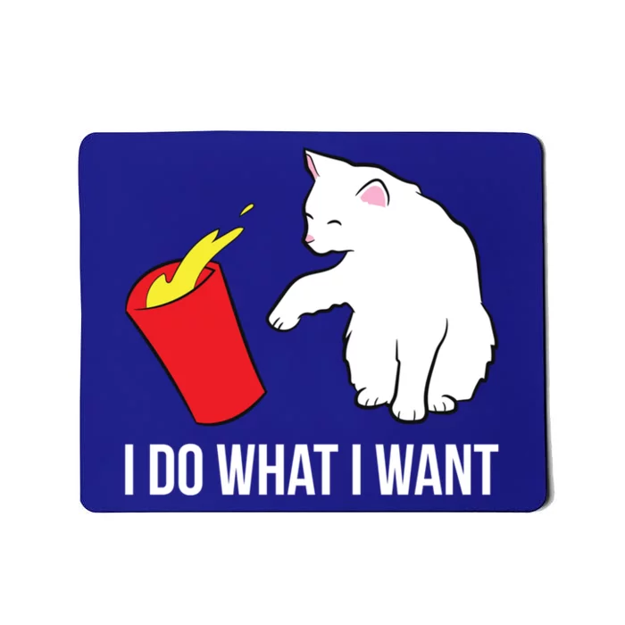 Cat Owner Gift Love Cats I Do What I Want Funny Cat Gift Mousepad