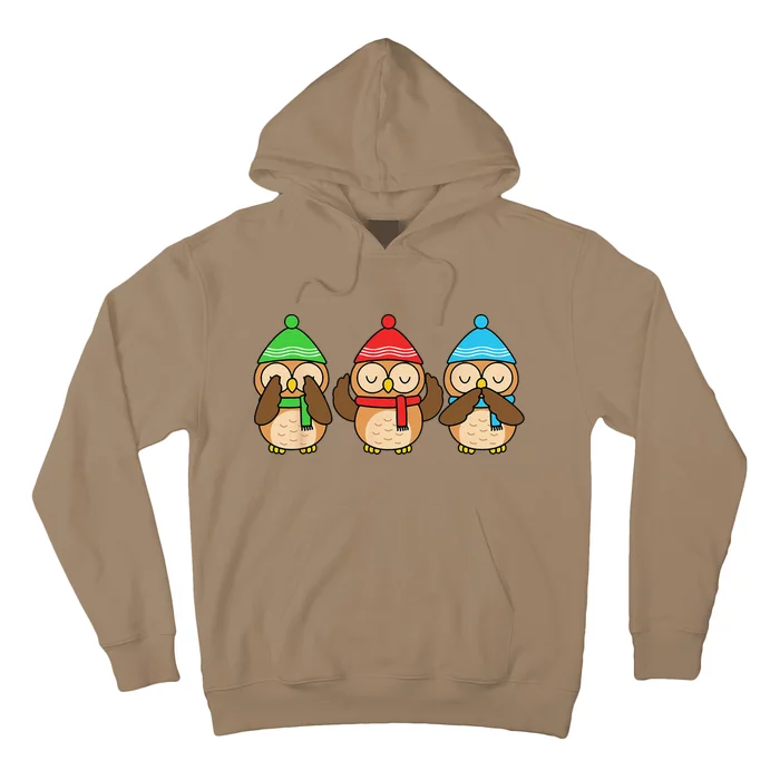 Christmas Owl Lover Funny Winter Birds Cute Owl Hoodie