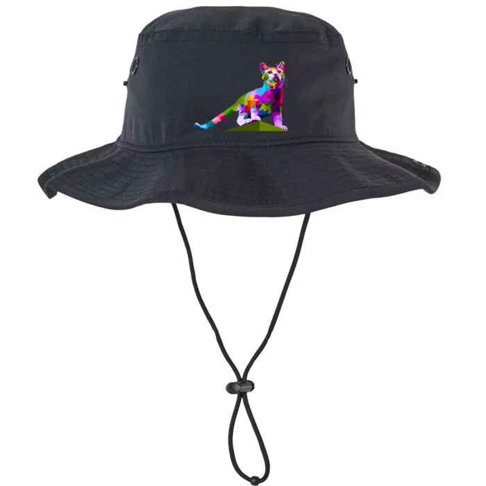 Colorful Curious Kitten Legacy Cool Fit Booney Bucket Hat