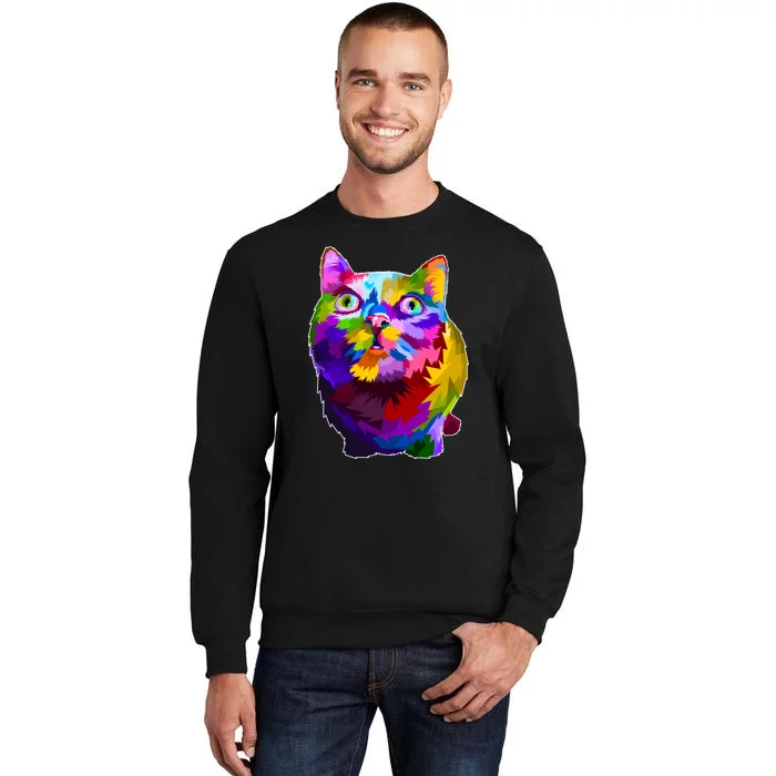 Colorful Kitten Nose Boop Sweatshirt