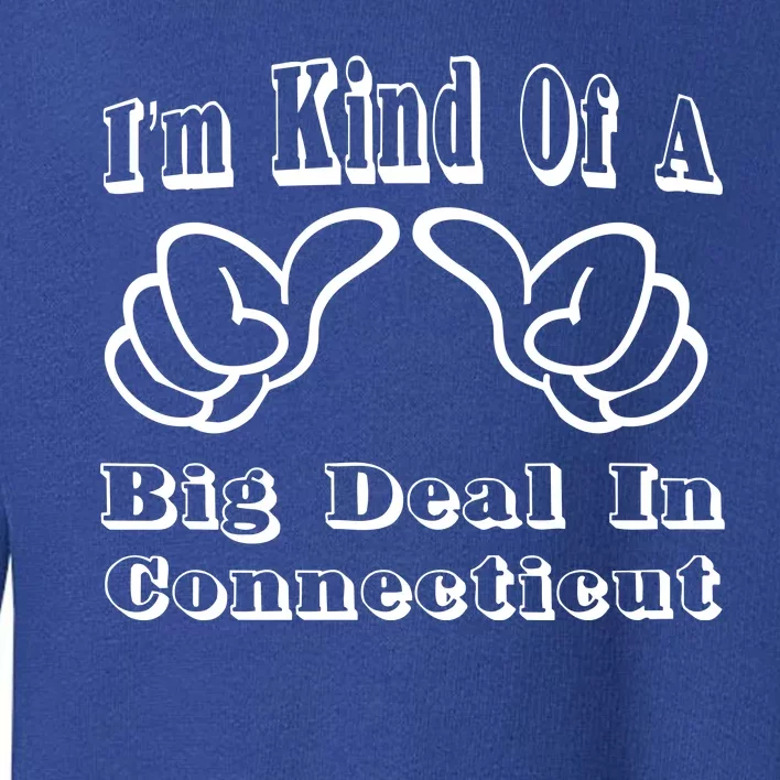 Connecticut Big Deal Toddler Sweatshirt