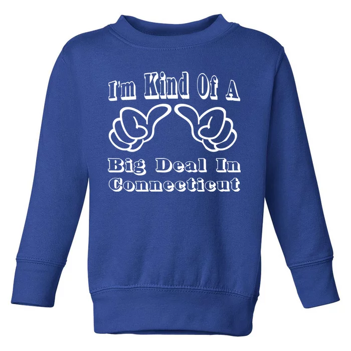 Connecticut Big Deal Toddler Sweatshirt